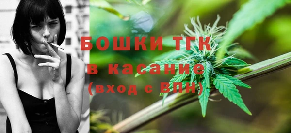 дмт Алзамай