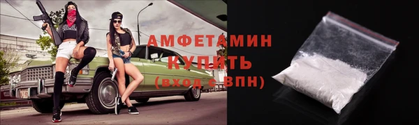 амф Алексин
