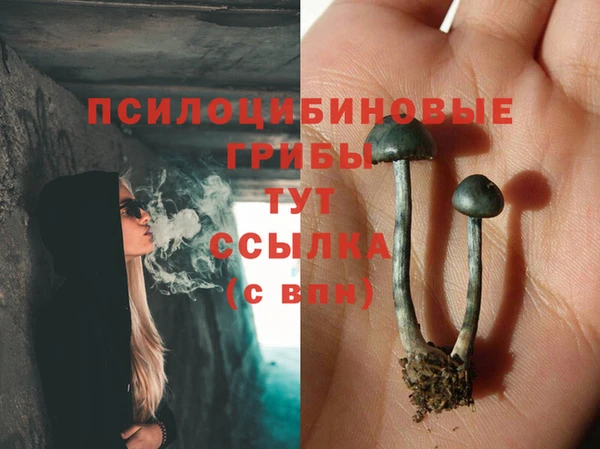 прущие крисы Алексеевка