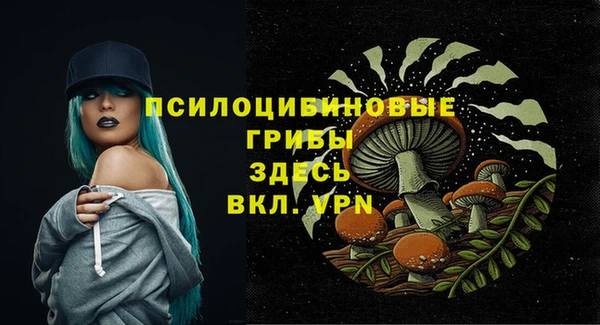дмт Алзамай
