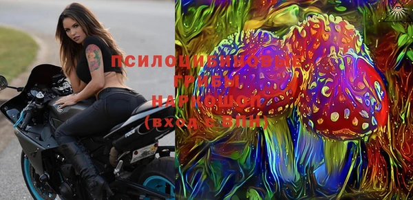 дмт Алзамай