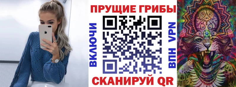 Галлюциногенные грибы GOLDEN TEACHER сайты даркнета наркотические препараты Сосенский